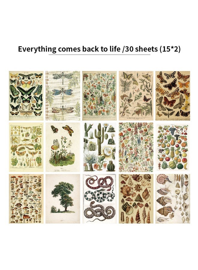 Mordely 30 PCS Vintage Postcard Set, Post Cards for Mailing 4x6 Retro Style Cottagecore Botanical Ephemera Aesthetic Postcards Pack for Adults Collage Collection DIY Cardstock Paper - Image 1